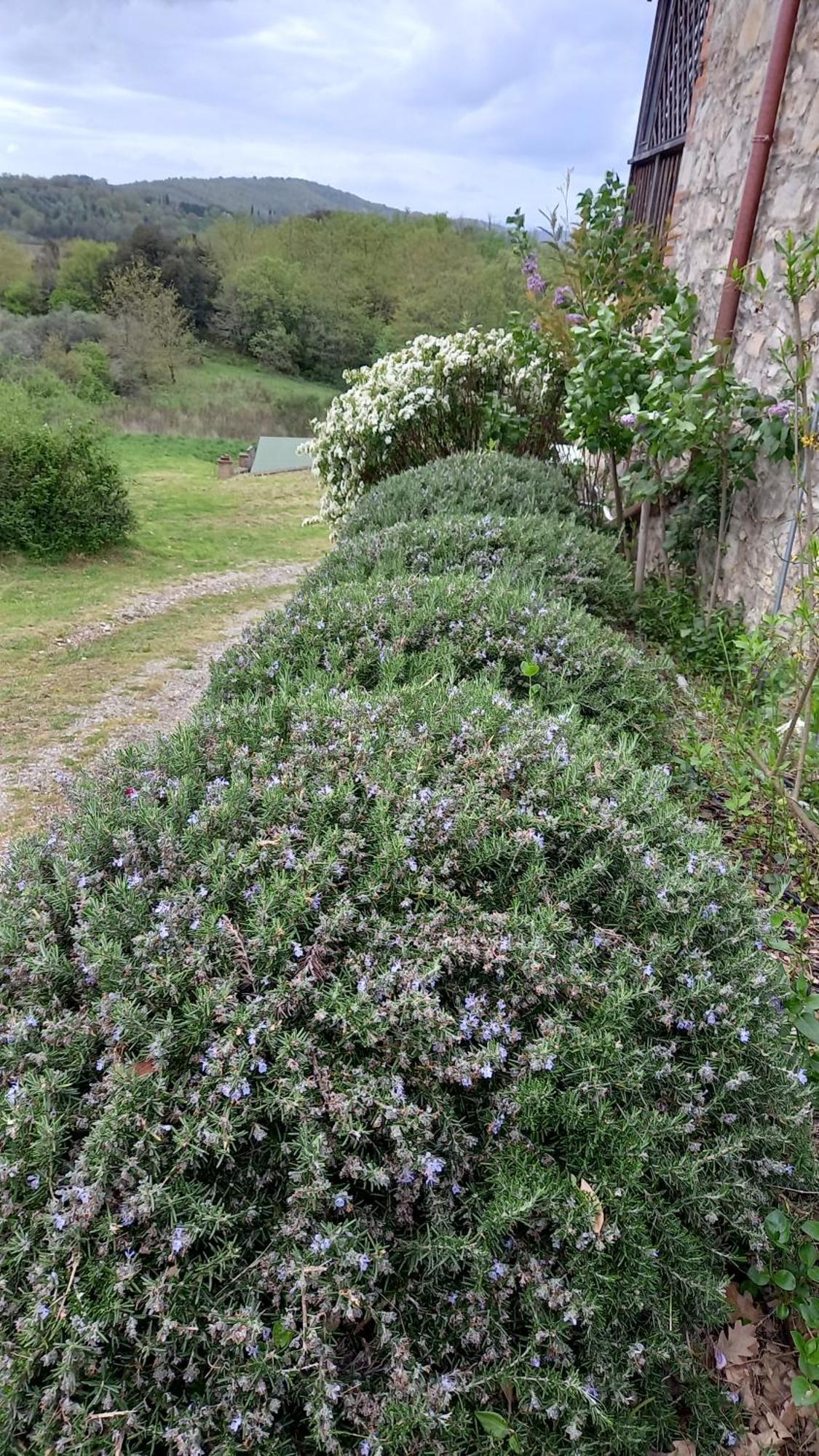 Podere Casalbosco - Idromassaggio e panorama Rapolano Terme Exterior foto
